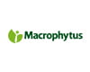 Macrophytus