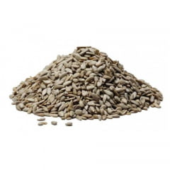 pepitas de girassol 100gr Granel